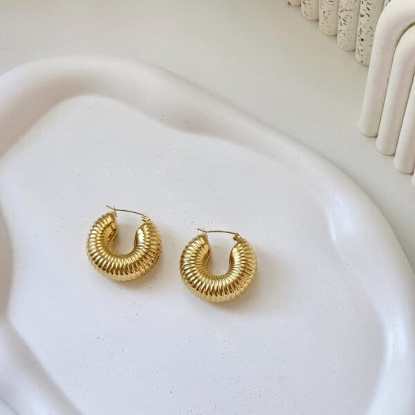 Classic Spiral Hoops - 1