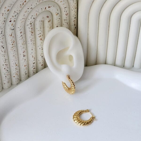 Lola Hoops