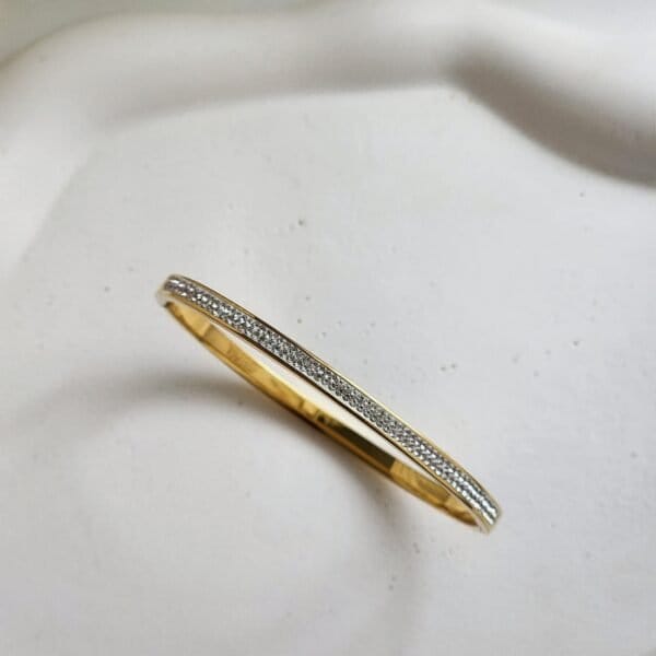 Larisa Bangle