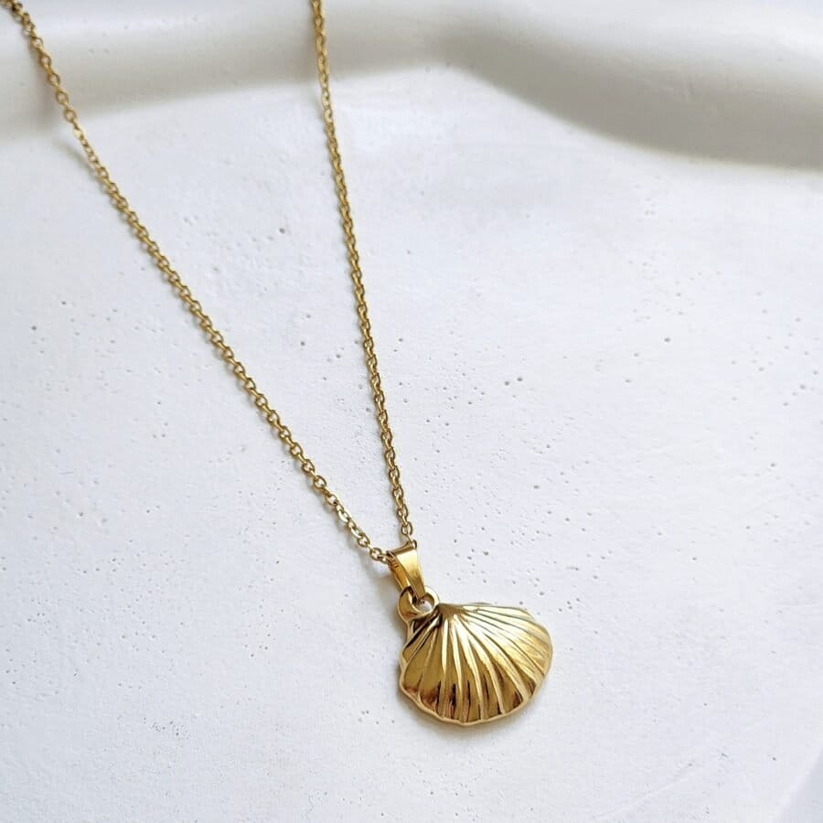 Clam Shell Necklace