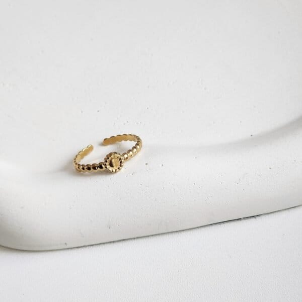 Nelly Ring